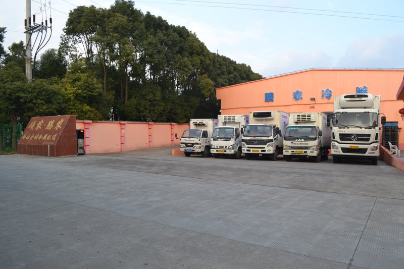 北京物流公司：高效保障城市物流大动脉